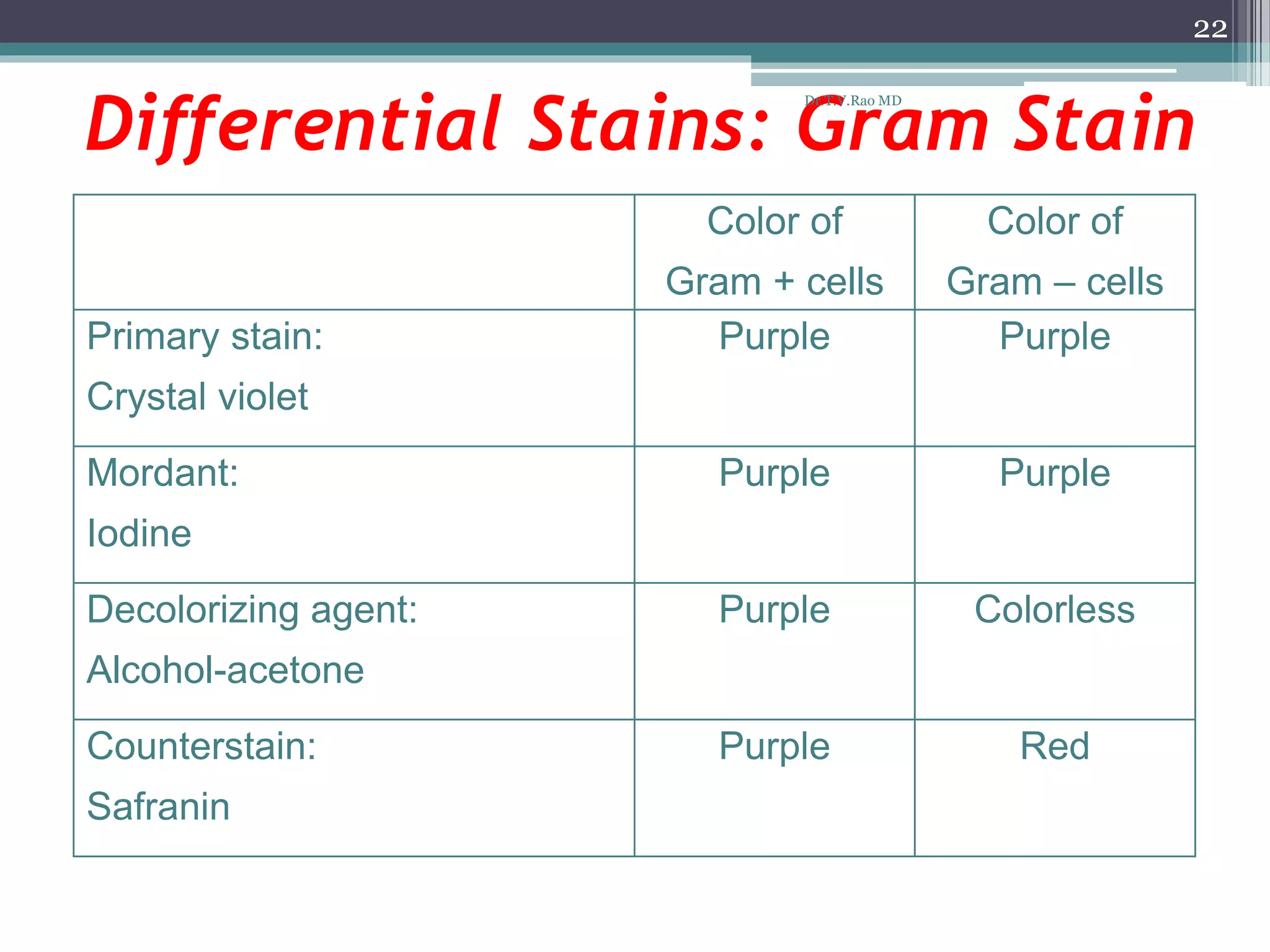 Differential Stains: Gram Stain
Color of
Gram + cells
Color of
Gram – cells
Primary stain:
Crystal violet
Purple Purple
Mordant:
Iodine
Purple Purple
Decolorizing agent:
Alcohol-acetone
Purple Colorless
Counterstain:
Safranin
Purple Red
22
Dr.T.V.Rao MD
 