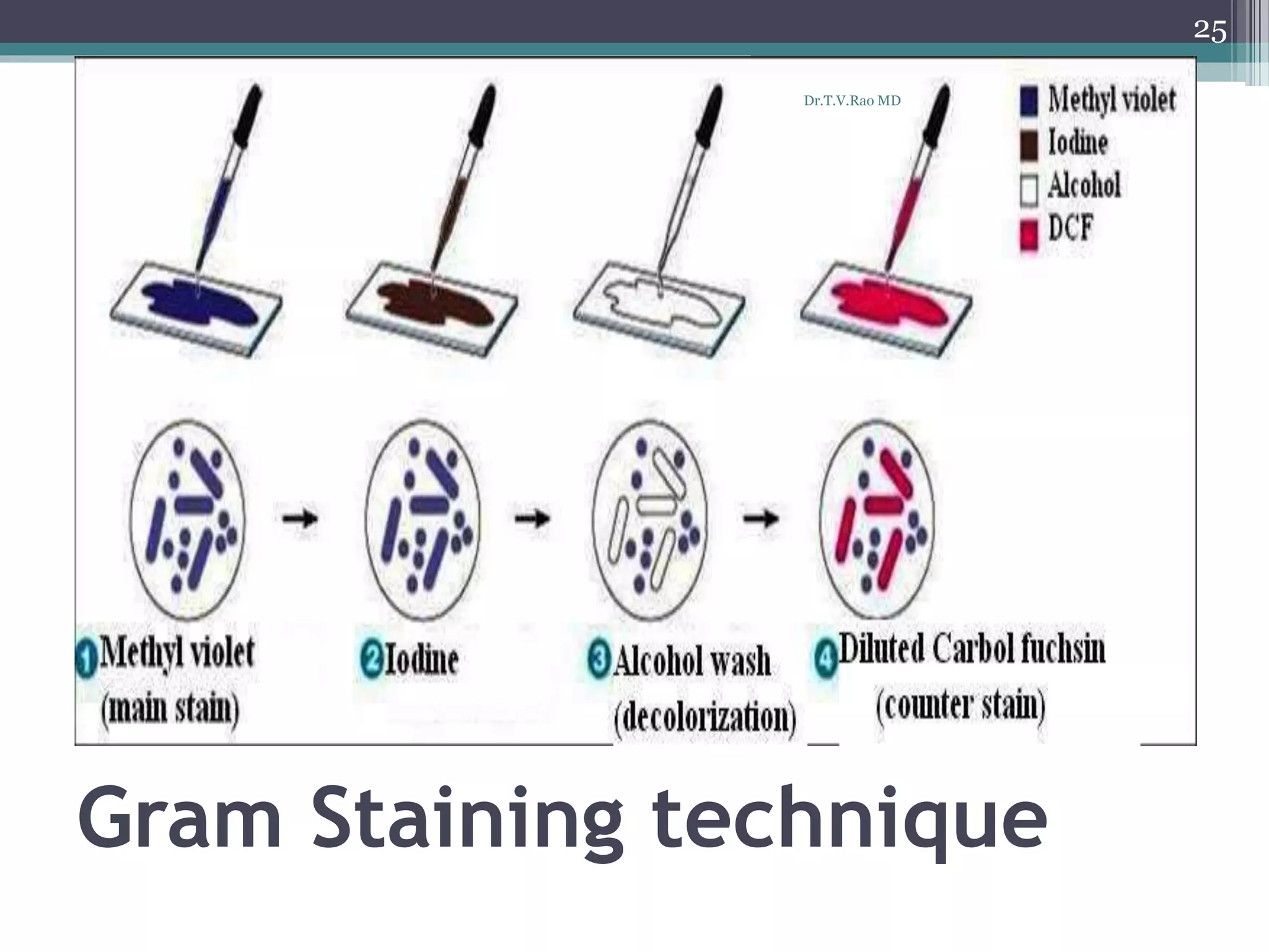Gram Staining technique
25
Dr.T.V.Rao MD
 