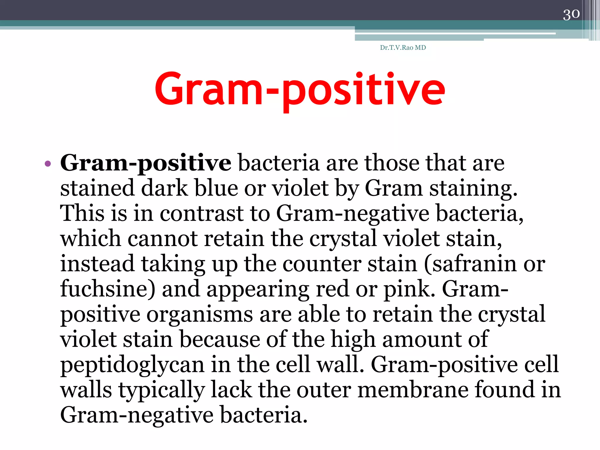 Gram-positive
• Gram-positive bacteria are those that are
stained dark blue or violet by Gram staining.
This is in contrast to Gram-negative bacteria,
which cannot retain the crystal violet stain,
instead taking up the counter stain (safranin or
fuchsine) and appearing red or pink. Gram-
positive organisms are able to retain the crystal
violet stain because of the high amount of
peptidoglycan in the cell wall. Gram-positive cell
walls typically lack the outer membrane found in
Gram-negative bacteria.
30
Dr.T.V.Rao MD
 