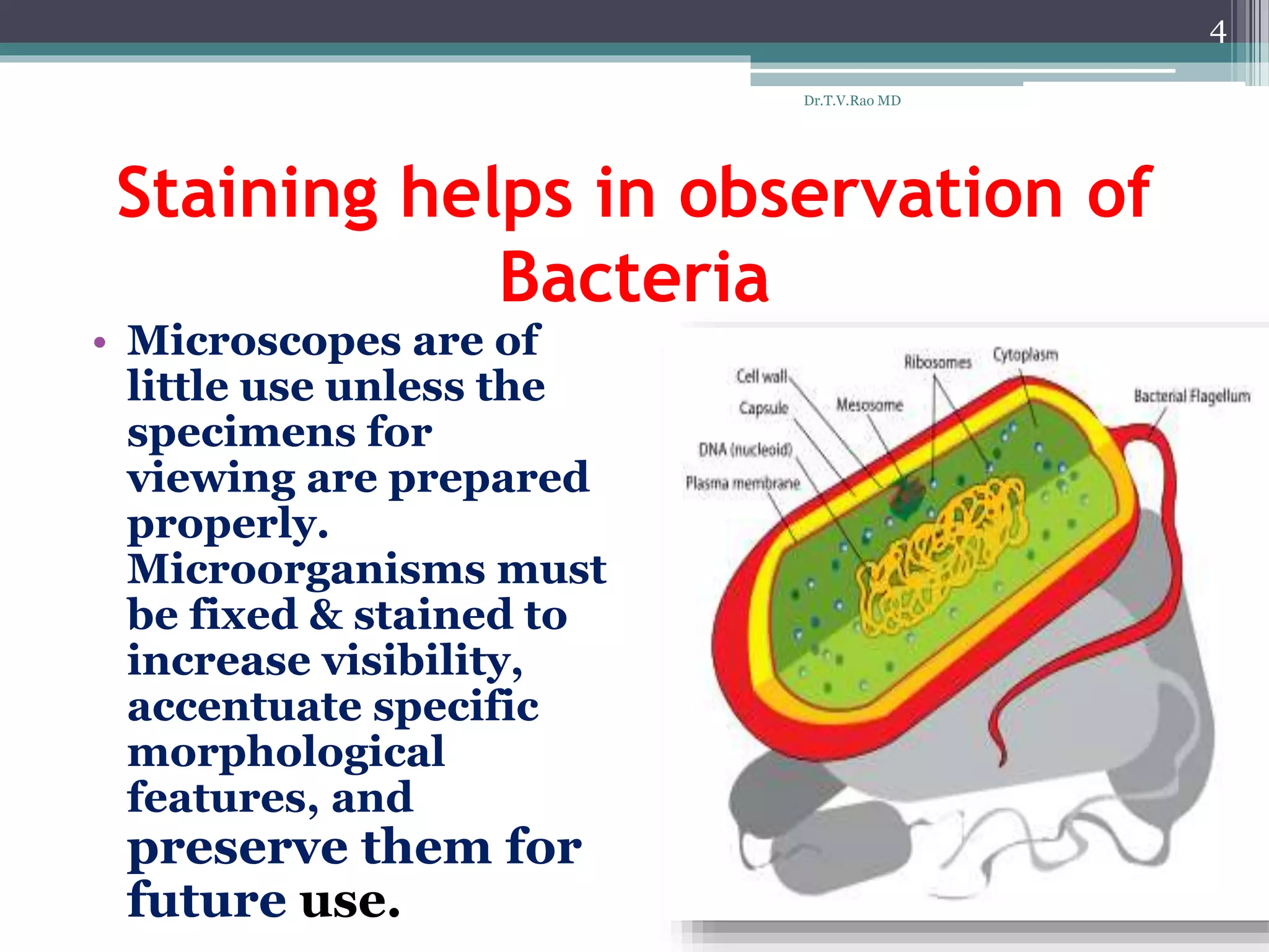 Staining helps in observation of
Bacteria
• Microscopes are of
little use unless the
specimens for
viewing are prepared
properly.
Microorganisms must
be fixed & stained to
increase visibility,
accentuate specific
morphological
features, and
preserve them for
future use.
4
Dr.T.V.Rao MD
 