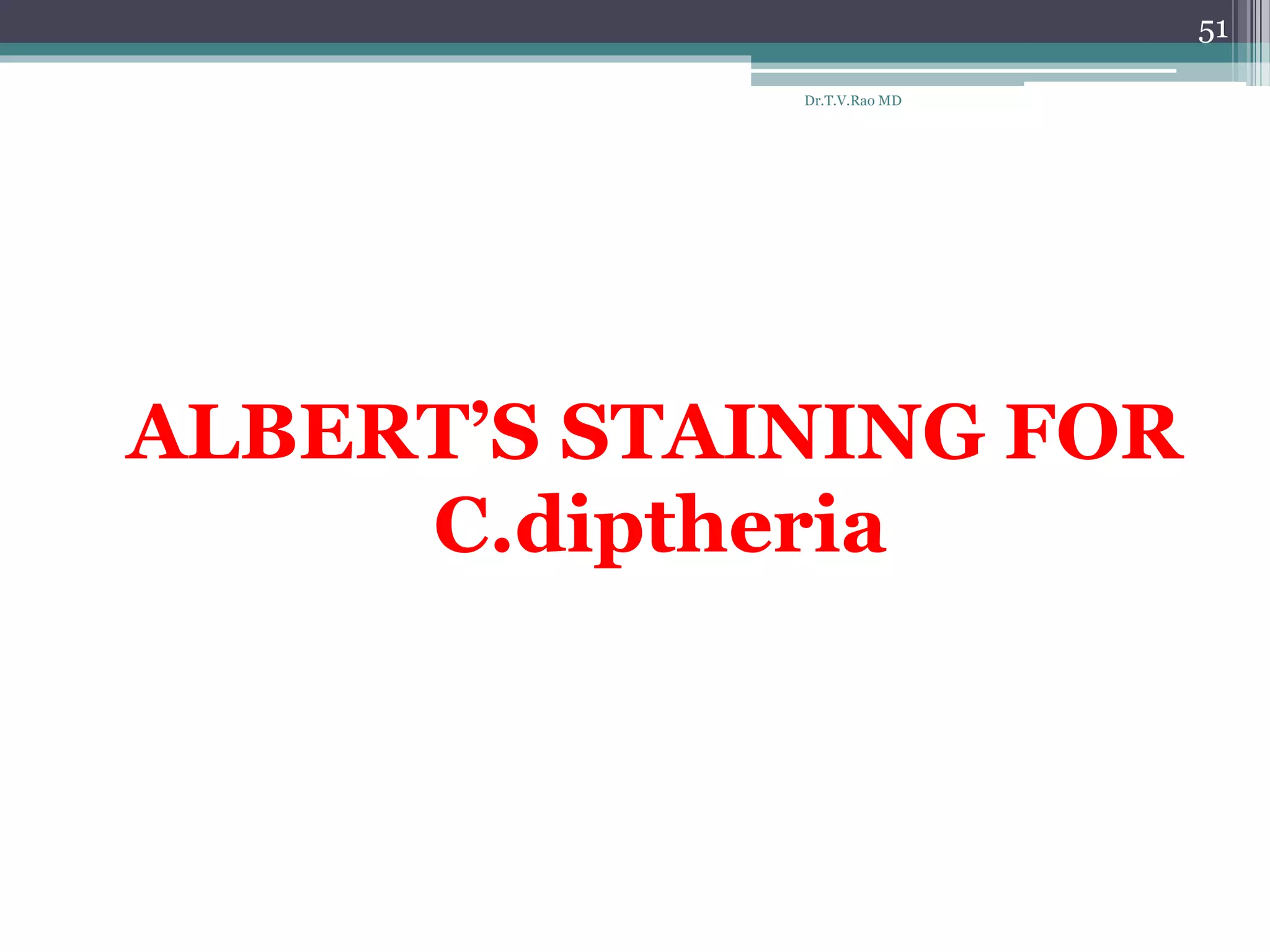 ALBERT’S STAINING FOR
C.diptheria
Dr.T.V.Rao MD
51
 