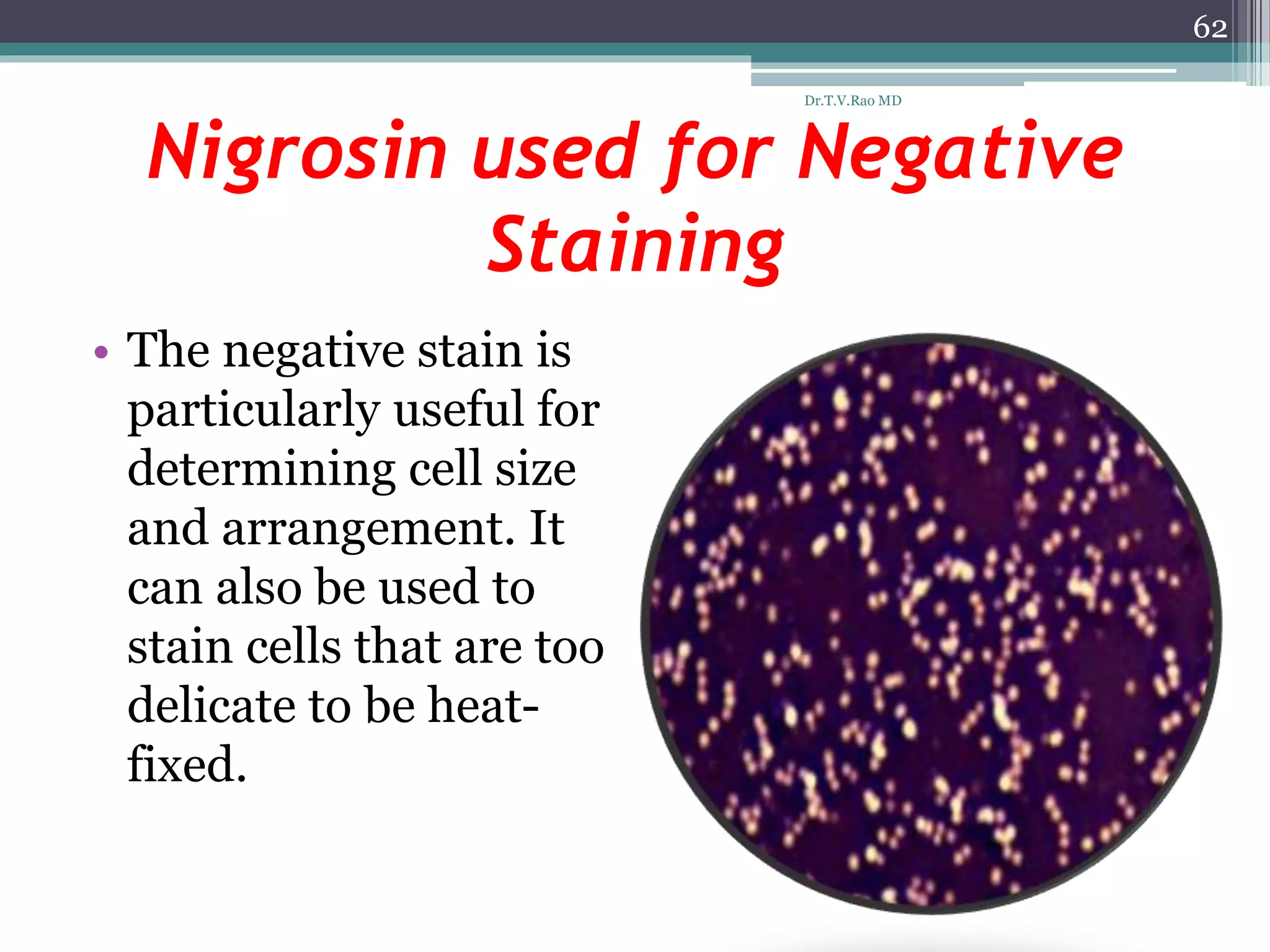 Nigrosin used for Negative
Staining
• The negative stain is
particularly useful for
determining cell size
and arrangement. It
can also be used to
stain cells that are too
delicate to be heat-
fixed.
62
Dr.T.V.Rao MD
 