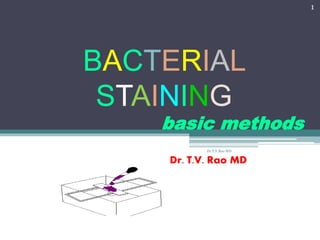 BACTERIAL
STAINING
basic methods
Dr. T.V. Rao MD
1
Dr.T.V.Rao MD
 