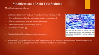 Modifications of Acid Fast Staining
Modifications are as follows:
 Cold method (Kinyoun's method): It is differs from ZN staining in that
 It is modification, where the intermittent heating is not required.
 Phenol concentration in carbol fuchsin is increased,
 Duration of carbol fuchsin staining is more.
 Example : Nocardia spp.
 Acid-alcohol can be used as decolorizer alternatively.
 Acid alcohol (3% hydrochloric acid+ 95% ethyl alcohol): It can be used to differentiate M. tuberculosis (acid and
alcohol fast) from M. smegmatis(acid fast but not alcohol fast) in urine sample.
Nocardia SPP: Nocardiae are partially acid fast
and appear as branching and filamentous red
colored acid fast bacilli 1% sulfuric acid use as
decolorizer
 