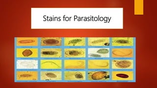Stains for Parasitology
 