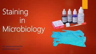Staining
in
Microbiology
DR. MAMTA SHRIVASTAV
MD MICROBIOLOGIST
 