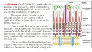 Staining Methods.pptx