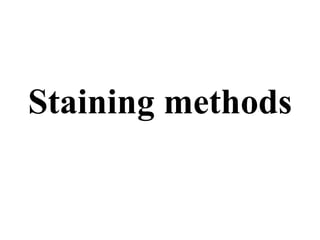 Staining methods
 