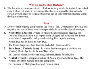 Staining Methods.pdf