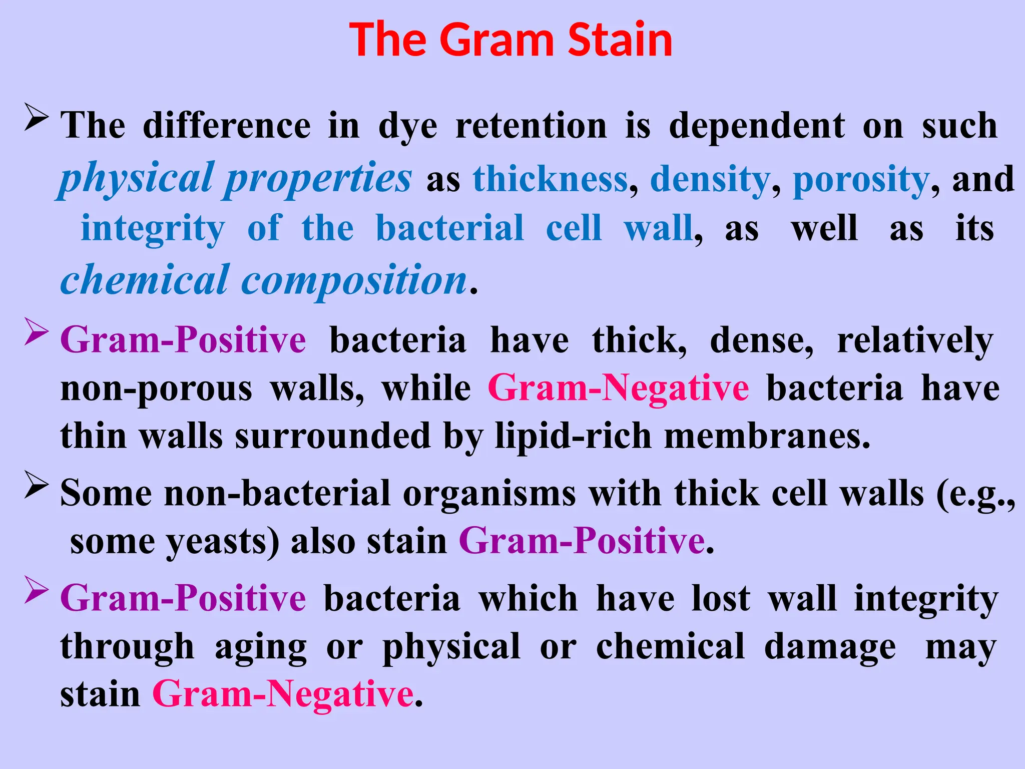 The Gram Stain
 The difference in dye retention is dependent on such
physical properties as thickness, density, porosity, and
integrity of the bacterial cell wall, as well as its
chemical composition.
 Gram-Positive bacteria have thick, dense, relatively
non-porous walls, while Gram-Negative bacteria have
thin walls surrounded by lipid-rich membranes.
 Some non-bacterial organisms with thick cell walls (e.g.,
some yeasts) also stain Gram-Positive.
 Gram-Positive bacteria which have lost wall integrity
through aging or physical or chemical damage may
stain Gram-Negative.
 
