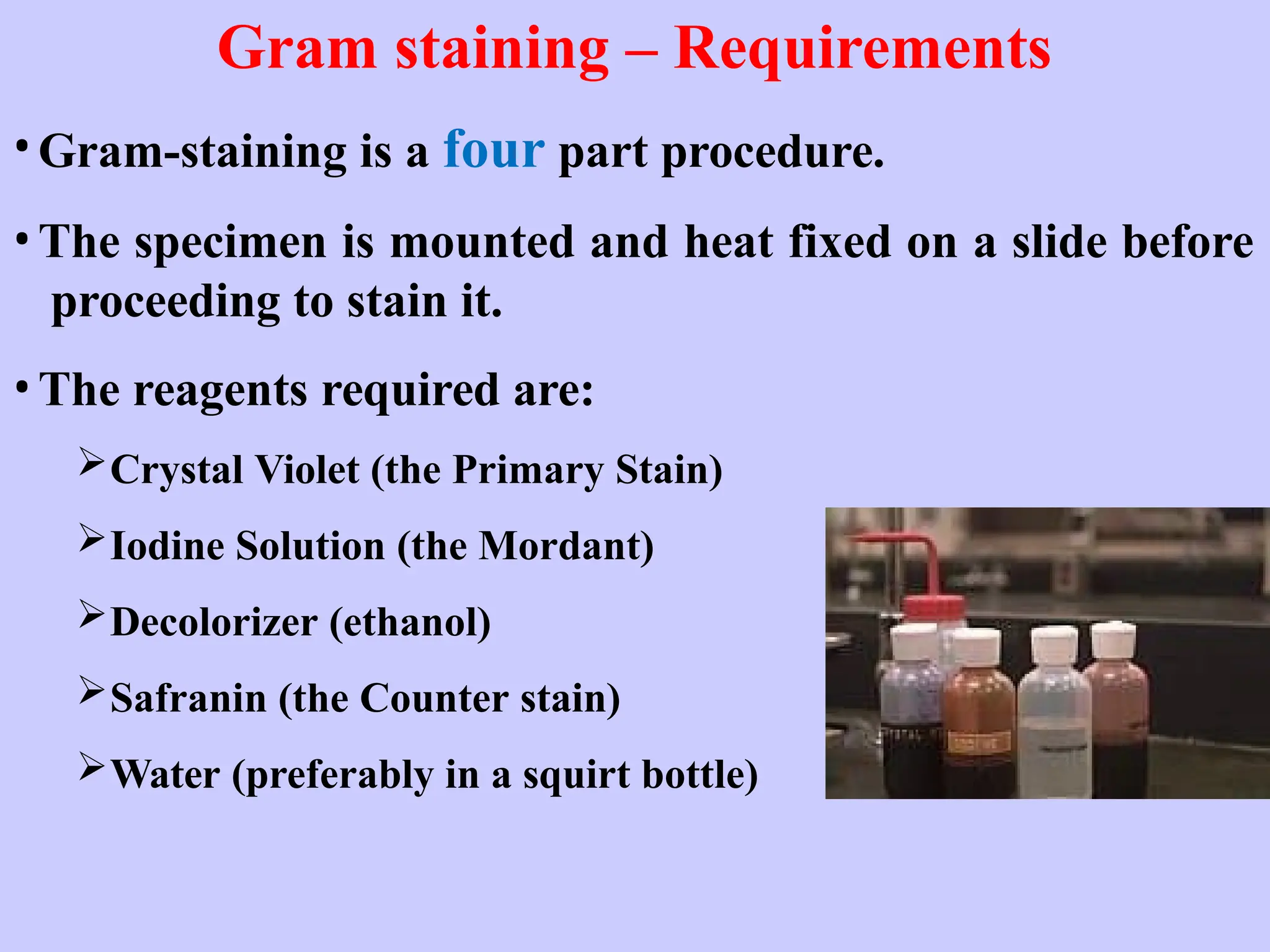 Gram staining – Requirements
•Gram-staining is a four part procedure.
•The specimen is mounted and heat fixed on a slide before
proceeding to stain it.
•The reagents required are:
Crystal Violet (the Primary Stain)
Iodine Solution (the Mordant)
Decolorizer (ethanol)
Safranin (the Counter stain)
Water (preferably in a squirt bottle)
 