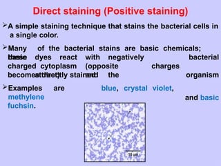 staining methods.pptx for bacteria best slides for presentation | PPTX