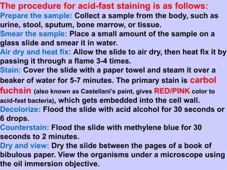 staining methods.pptx for bacteria best slides for presentation | PPTX