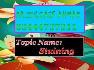 12/28/2012   Zulcaif Ahmad 03444737311   1
 
