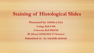 Staining of Histological Slides
Presented by: NOOR ul EZA
College Roll # 896
University Roll #028748
BS (Hons) ZOOLOGY 6th Semester
Submitted to : Dr. SAGHIR AHMAD
 