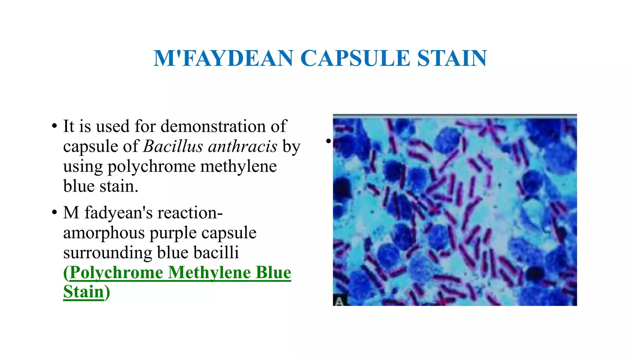 M'FAYDEAN CAPSULE STAIN
• .
• It is used for demonstration of
capsule of Bacillus anthracis by
using polychrome methylene
blue stain.
• M fadyean's reaction-
amorphous purple capsule
surrounding blue bacilli
(Polychrome Methylene Blue
Stain)
 