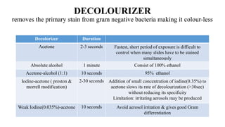 Staining of microorganisms | PPTX