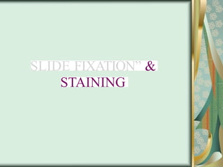 SLIDE FIXATION” &
STAINING
 