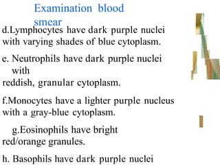 Examination blood
smear
d.Lymphocytes have dark purple nuclei
with varying shades of blue cytoplasm.
e. Neutrophils have dark purple nuclei
with
reddish, granular cytoplasm.
f.Monocytes have a lighter purple nucleus
with a gray-blue cytoplasm.
g.Eosinophils have bright
red/orange granules.
h. Basophils have dark purple nuclei
 