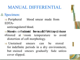 MANUAL DIFFERENTIAL
& Specimen:
›a Peripheral blood smear made from
EDTA-
anticoagulated blood.
›s Smears should be made within 1 hour
of 1
g
,
EDTA specimens
blood collection from
stored at room temperature to avoid
distortion of cell morphology.
›a Unstained smears can be stored
for indefinite periods in a dry environment,
but stained smears gradually fade unless
cover slipped.
 