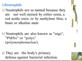 1.Neutrophils
éi Neutrophils are so named because they
are not well stained by either eosin, a
red acidic stain, or by methylene blue, a
basic or alkaline stain
j
3
'
’
’
I
G Neutrophils are also known as "segs",
"PMNs" or "polys"
(polymorphonuclear).
éi They are the body's primary
defense against bacterial infection.
 