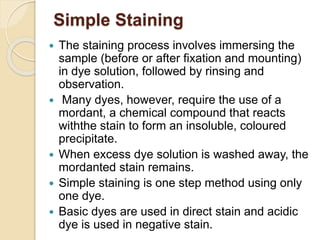 Basic Staining A Sample stainings-160406124050.pdf staining ppt | PDF