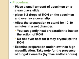 Koh Tablet Method stainings-160406124050.pdf staining ppt | PDF