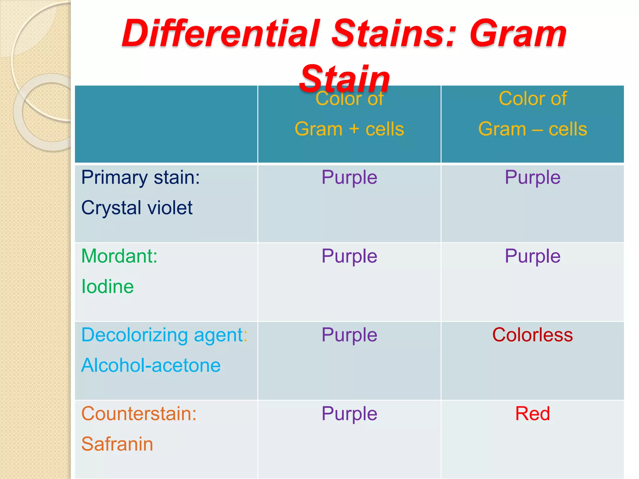 Color of
Gram + cells
Color of
Gram – cells
Primary stain:
Crystal violet
Purple Purple
Mordant:
Iodine
Purple Purple
Decolorizing agent:
Alcohol-acetone
Purple Colorless
Counterstain:
Safranin
Purple Red
Differential Stains: Gram
Stain
 