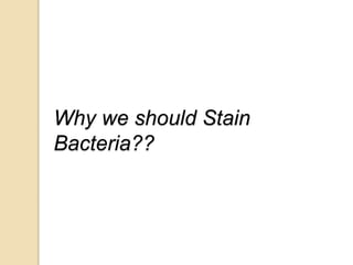 Why we should Stain
Bacteria??
 