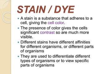 STAIN / DYE
 A stain is a substance that adheres to a
cell, giving the cell color.
 The presence of color gives the cells
significant contrast so are much more
visible.
 Different stains have different affinities
for different organisms, or different parts
of organisms
 They are used to differentiate different
types of organisms or to view specific
parts of organisms
 