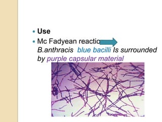  Use
 Mc Fadyean reaction
B.anthracis blue bacilli Is surrounded
by purple capsular material
 