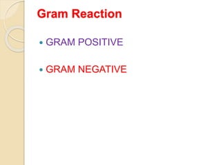 Gram Reaction
 GRAM POSITIVE
 GRAM NEGATIVE
 