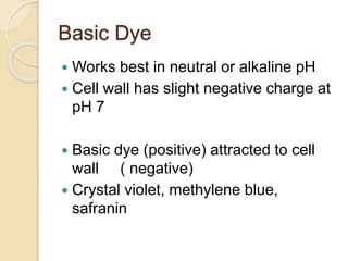 Basic Dye
 Works best in neutral or alkaline pH
 Cell wall has slight negative charge at
pH 7
 Basic dye (positive) attracted to cell
wall ( negative)
 Crystal violet, methylene blue,
safranin
 