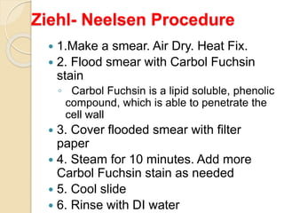 Ziehl- Neelsen Procedure
 1.Make a smear. Air Dry. Heat Fix.
 2. Flood smear with Carbol Fuchsin
stain
◦ Carbol Fuchsin is a lipid soluble, phenolic
compound, which is able to penetrate the
cell wall
 3. Cover flooded smear with filter
paper
 4. Steam for 10 minutes. Add more
Carbol Fuchsin stain as needed
 5. Cool slide
 6. Rinse with DI water
 