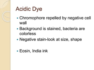 Acidic Dye
 Chromophore repelled by negative cell
wall
 Background is stained, bacteria are
colorless
 Negative stain-look at size, shape
 Eosin, India ink
 