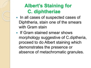 Albert’s Staining for
C. diphtheriae
 In all cases of suspected cases of
Diphtheria, stain one of the smears
with Gram stain
 If Gram stained smear shows
morphology suggestive of C.diptheria,
proceed to do Albert staining which
demonstrates the presence or
absence of metachromatic granules.
 