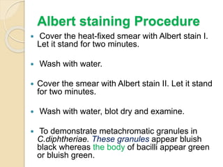 Albert staining Procedure
 Cover the heat-fixed smear with Albert stain I.
Let it stand for two minutes.
 Wash with water.
 Cover the smear with Albert stain II. Let it stand
for two minutes.
 Wash with water, blot dry and examine.
 To demonstrate metachromatic granules in
C.diphtheriae. These granules appear bluish
black whereas the body of bacilli appear green
or bluish green.
 