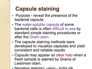 Capsule staining
 Purpose - reveal the presence of the
bacterial capsule.
 The water-soluble capsule of some
bacterial cells is often difficult to see by
standard simple staining procedures or
after the Gram stain.
 The capsule staining methods were
developed to visualize capsules and yield
consistent and reliable results
 Capsule may appear as clear halo when a
fresh sample is stained by Grams or
Leishman stain.
 