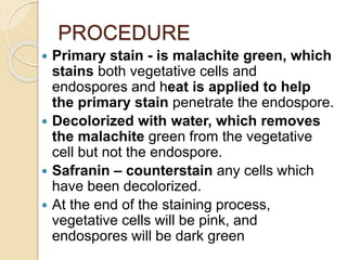 PROCEDURE
 Primary stain - is malachite green, which
stains both vegetative cells and
endospores and heat is applied to help
the primary stain penetrate the endospore.
 Decolorized with water, which removes
the malachite green from the vegetative
cell but not the endospore.
 Safranin – counterstain any cells which
have been decolorized.
 At the end of the staining process,
vegetative cells will be pink, and
endospores will be dark green
 