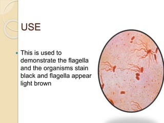 USE
 This is used to
demonstrate the flagella
and the organisms stain
black and flagella appear
light brown
 