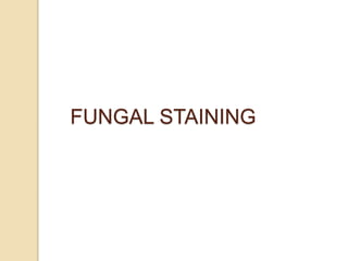 FUNGAL STAINING
 