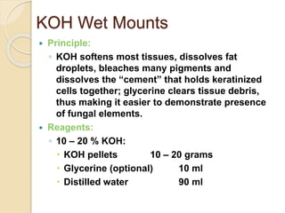KOH Wet Mounts
 Principle:
◦ KOH softens most tissues, dissolves fat
droplets, bleaches many pigments and
dissolves the “cement” that holds keratinized
cells together; glycerine clears tissue debris,
thus making it easier to demonstrate presence
of fungal elements.
 Reagents:
◦ 10 – 20 % KOH:
 KOH pellets 10 – 20 grams
 Glycerine (optional) 10 ml
 Distilled water 90 ml
 