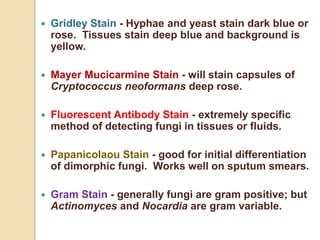  Gridley Stain - Hyphae and yeast stain dark blue or
rose. Tissues stain deep blue and background is
yellow.
 Mayer Mucicarmine Stain - will stain capsules of
Cryptococcus neoformans deep rose.
 Fluorescent Antibody Stain - extremely specific
method of detecting fungi in tissues or fluids.
 Papanicolaou Stain - good for initial differentiation
of dimorphic fungi. Works well on sputum smears.
 Gram Stain - generally fungi are gram positive; but
Actinomyces and Nocardia are gram variable.
 