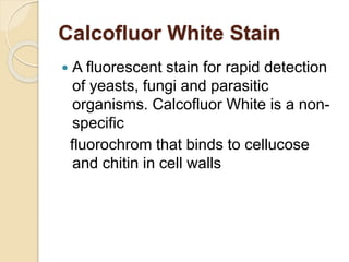  A fluorescent stain for rapid detection
of yeasts, fungi and parasitic
organisms. Calcofluor White is a non-
specific
fluorochrom that binds to cellucose
and chitin in cell walls
Calcofluor White Stain
 