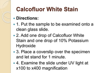 Calcofluor White Stain
 Directions:
 1. Put the sample to be examined onto a
clean glass slide.
 2. Add one drop of Calcofluor White
Stain and one drop of 10% Potassium
Hydroxide
 3. Place a coverslip over the specimen
and let stand for 1 minute.
 4. Examine the slide under UV light at
x100 to x400 magnification
 