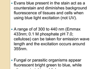  Evans blue present in the stain act as a
counterstain and diminishes background
fluorescence of tissues and cells when
using blue light excitation (not UV).
 A range of of 300 to 440 nm (Emmax
433nm; 0.1 M phosphate pH 7.0;
cellulose) can be taken for emission wave
length and the excitation occurs around
355nm.
 Fungal or parasitic organisms appear
fluorescent bright green to blue, while
 