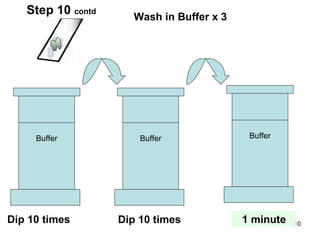 Buffer Buffer Buffer Wash in Buffer x 3 Dip 10 times Dip 10 times 1 minute Step 10  contd 