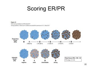 Scoring ER/PR 