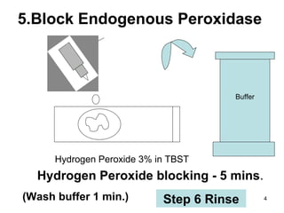 5.Block Endogenous Peroxidase Hydrogen Peroxide 3% in TBST Hydrogen Peroxide blocking - 5 mins . (Wash buffer 1 min.)  Buffer Step 6 Rinse 