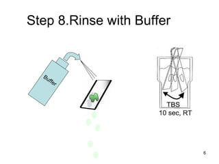 Step 8.Rinse with Buffer Buffer 